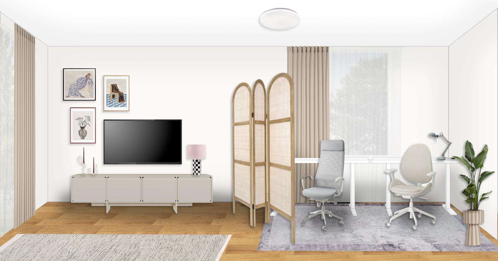 TV area and home office